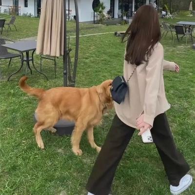 小森林